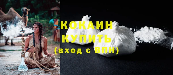 сатива Бородино