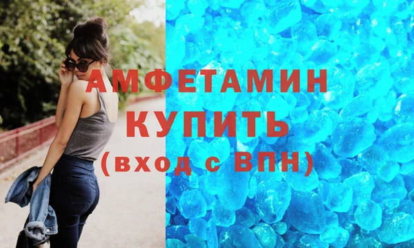 сатива Бородино