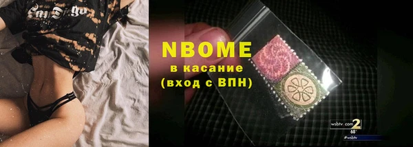 прущие грибы Бронницы