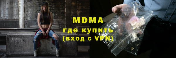 сатива Бородино