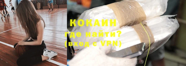 сатива Бородино