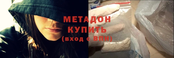 прущие грибы Бронницы
