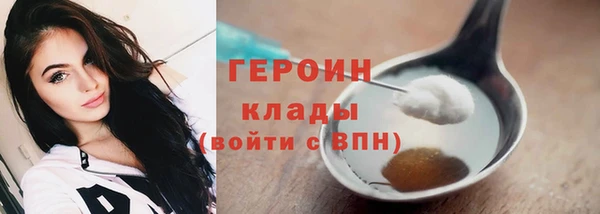 прущие грибы Бронницы