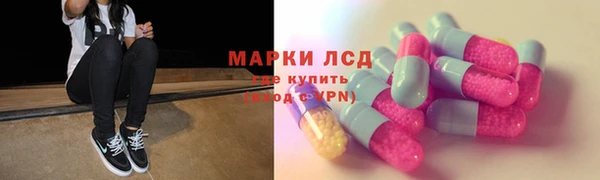 прущие грибы Бронницы