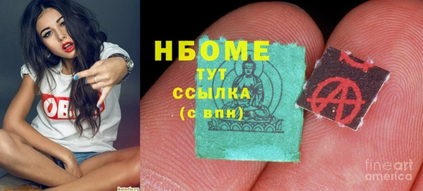 прущие грибы Бронницы