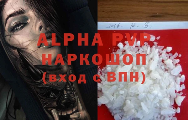 сатива Бородино