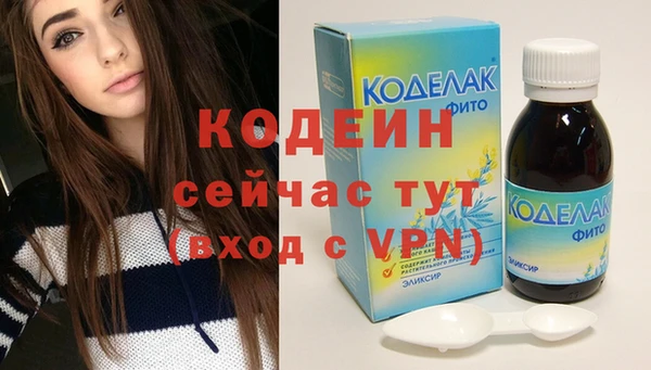 сатива Бородино