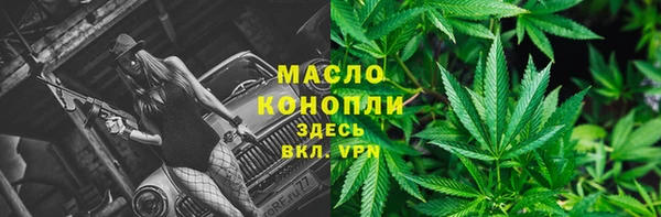 прущие грибы Бронницы