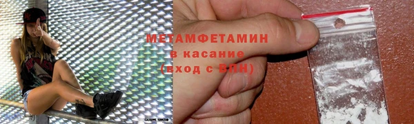 сатива Бородино