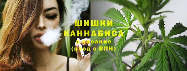 прущие грибы Бронницы
