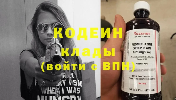 прущие грибы Бронницы