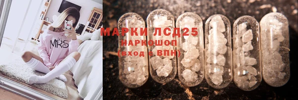 прущие грибы Бронницы