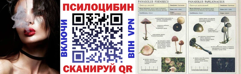 Купить где  Ленинск  Галлюциногенные грибы ЛСД 